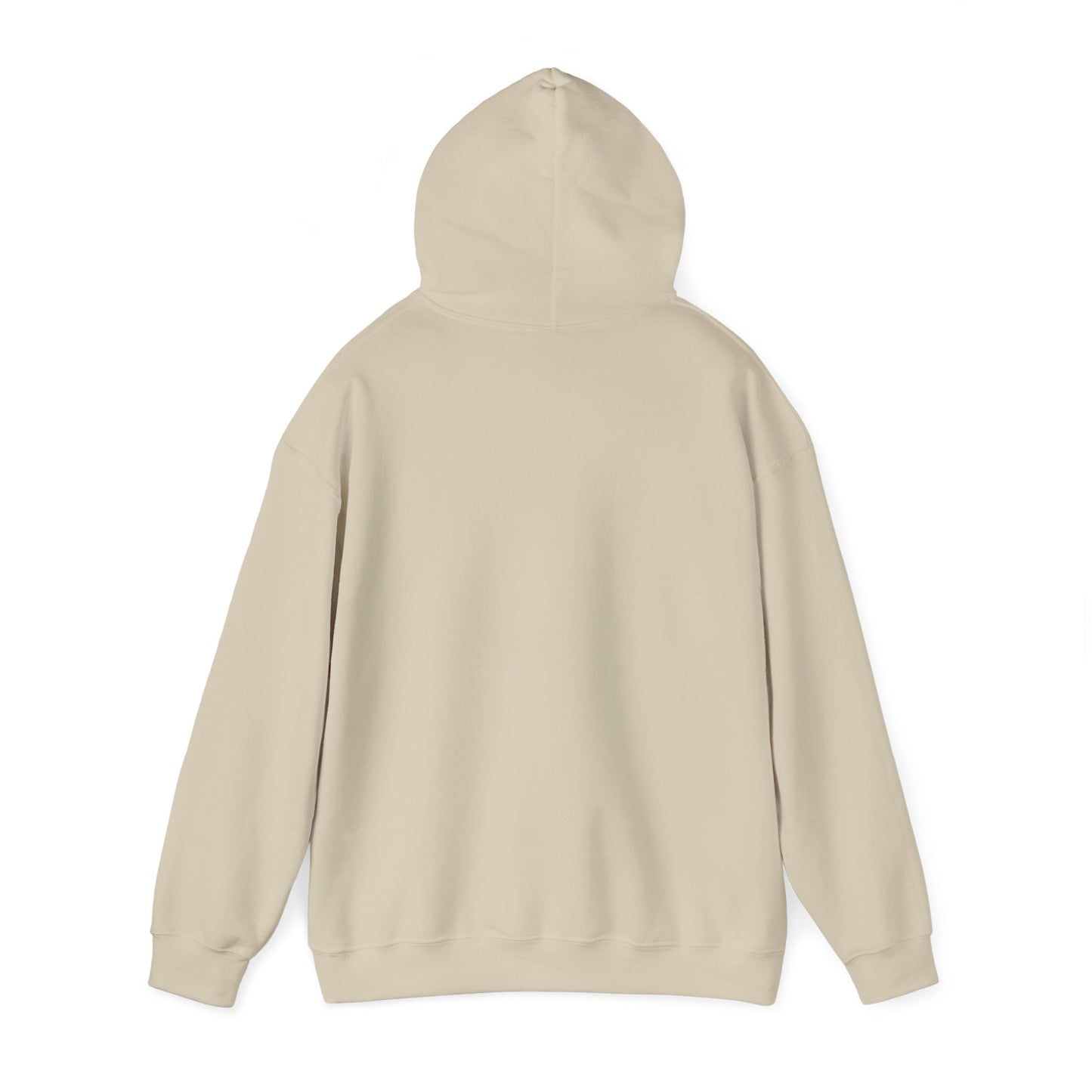 Sexy 60 (light hoodie)