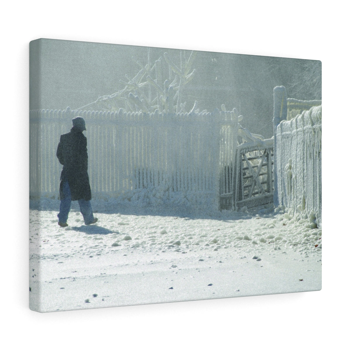 Winter Walk