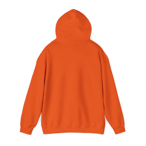 Sexy 60 (light hoodie)