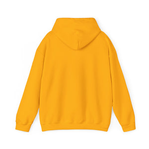 Sexy 60 (light hoodie)