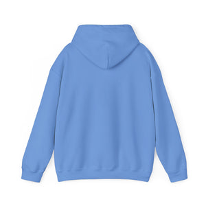 Sexy 60 (light hoodie)