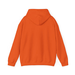 Sexy 60 (light hoodie)